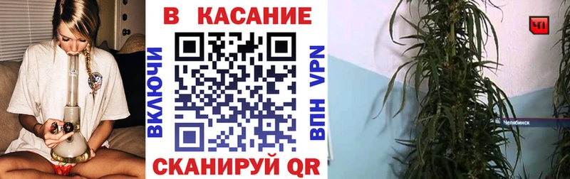 Купить закладку Конопля  Кокаин  МЕФ  Северская
