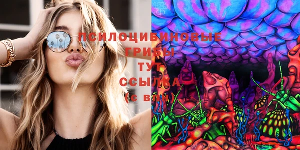 метадон Кукмор